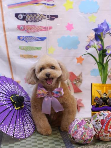 20240501バーディーくん